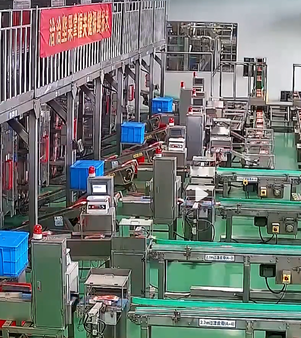 2020年Z6尊龙官方中国入口透明工厂直播